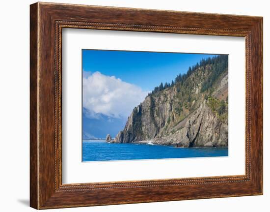 Trees on rock at Resurrection Bay, Seward, Kenai Peninsula Borough-Jan Miracky-Framed Photographic Print