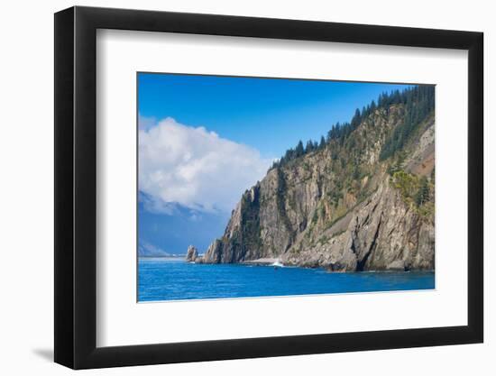 Trees on rock at Resurrection Bay, Seward, Kenai Peninsula Borough-Jan Miracky-Framed Photographic Print