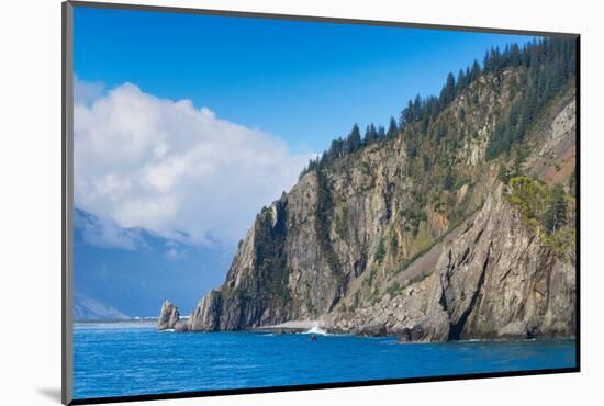 Trees on rock at Resurrection Bay, Seward, Kenai Peninsula Borough-Jan Miracky-Mounted Photographic Print