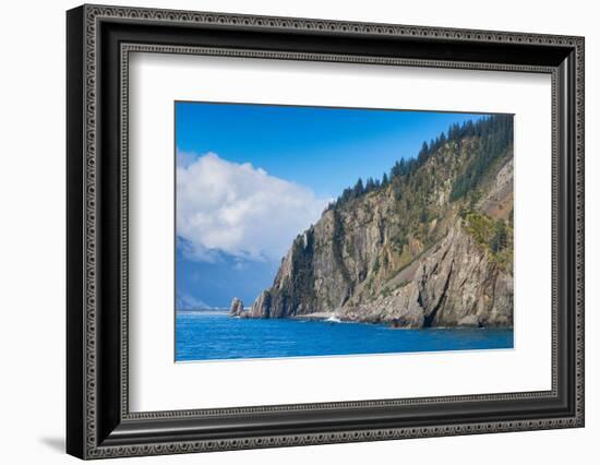 Trees on rock at Resurrection Bay, Seward, Kenai Peninsula Borough-Jan Miracky-Framed Photographic Print