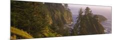 Premium Photographic Print