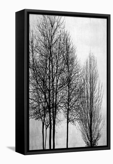 Trees on Silver Panel I-Kate Bennett-Framed Stretched Canvas