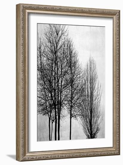 Trees on Silver Panel I-Kate Bennett-Framed Art Print