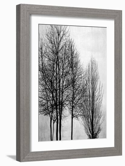 Trees on Silver Panel I-Kate Bennett-Framed Art Print