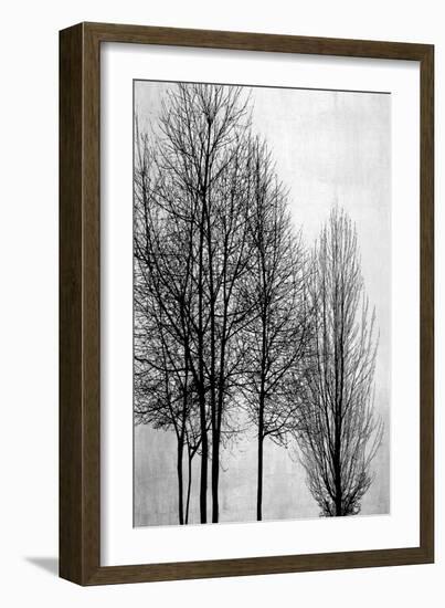 Trees on Silver Panel I-Kate Bennett-Framed Art Print