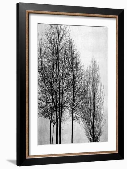 Trees on Silver Panel I-Kate Bennett-Framed Art Print