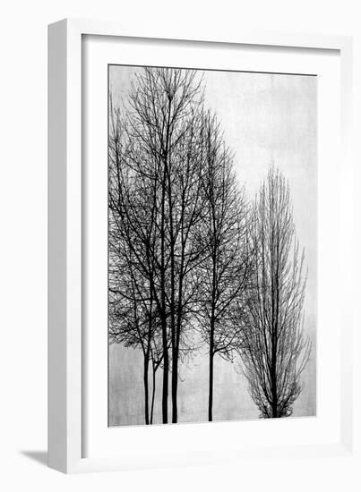 Trees on Silver Panel I-Kate Bennett-Framed Art Print