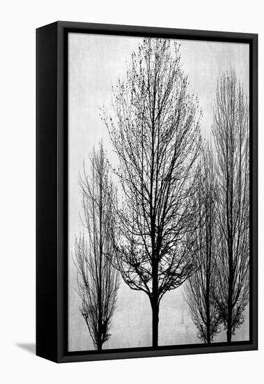 Trees on Silver Panel II-Kate Bennett-Framed Stretched Canvas