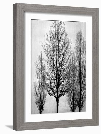 Trees on Silver Panel II-Kate Bennett-Framed Art Print