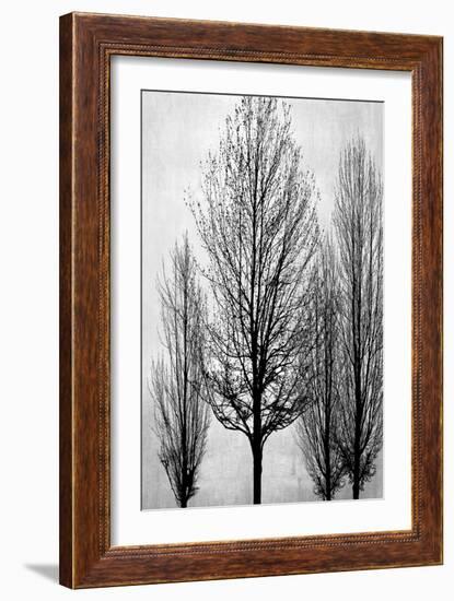 Trees on Silver Panel II-Kate Bennett-Framed Art Print