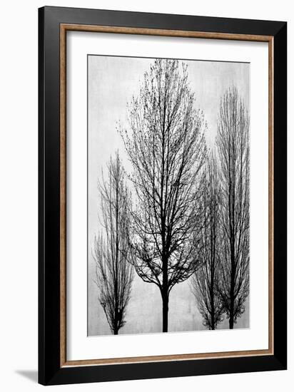 Trees on Silver Panel II-Kate Bennett-Framed Art Print