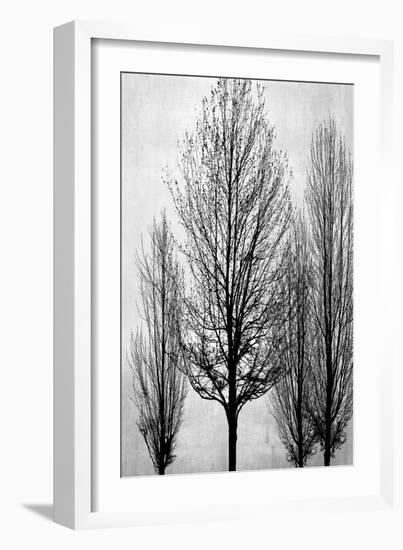 Trees on Silver Panel II-Kate Bennett-Framed Art Print