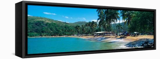 Trees on the Beach, Arapito Beach, Mochima National Park, Anzoategui State-Sucre State, Venezuela-null-Framed Premier Image Canvas