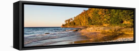 Trees on the Beach-null-Framed Stretched Canvas