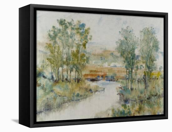Trees on the Creek II-Tim OToole-Framed Stretched Canvas