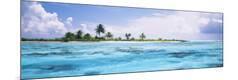 Premium Photographic Print