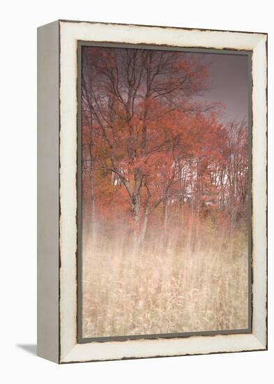 Trees on Wind 1-Moises Levy-Framed Premier Image Canvas