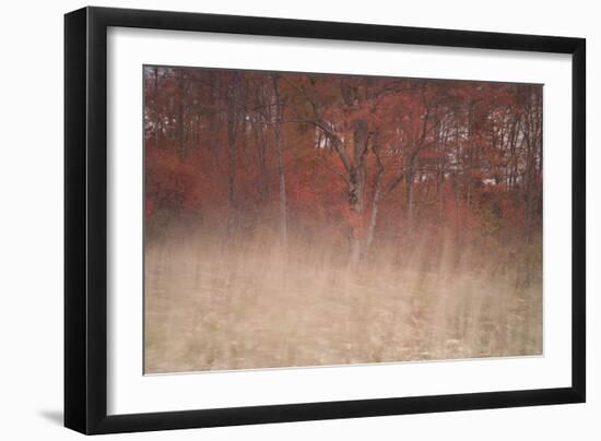 Trees on Wind 2-Moises Levy-Framed Photographic Print
