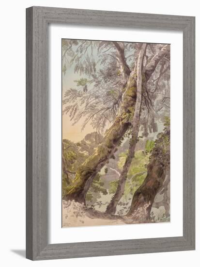 Trees Overhanging Water, 1800-Francis Towne-Framed Giclee Print