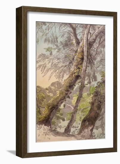 Trees Overhanging Water, 1800-Francis Towne-Framed Giclee Print