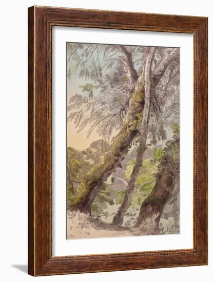 Trees Overhanging Water, 1800-Francis Towne-Framed Giclee Print