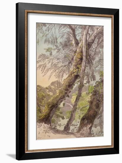 Trees Overhanging Water, 1800-Francis Towne-Framed Giclee Print