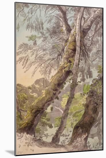 Trees Overhanging Water, 1800-Francis Towne-Mounted Giclee Print