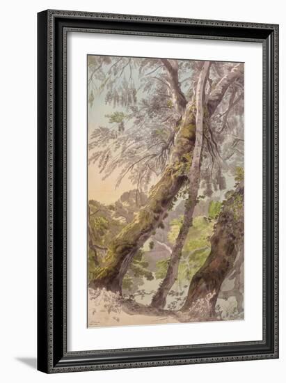 Trees Overhanging Water, 1800-Francis Towne-Framed Giclee Print