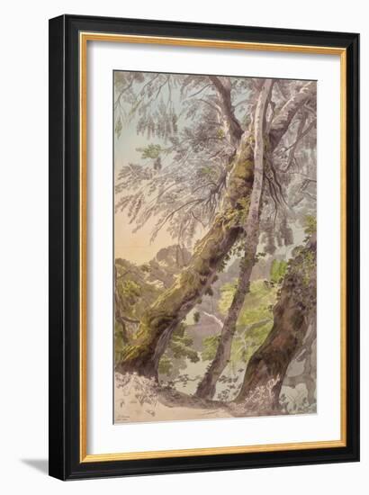 Trees Overhanging Water, 1800-Francis Towne-Framed Giclee Print