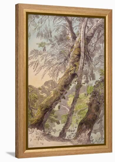 Trees Overhanging Water, 1800-Francis Towne-Framed Premier Image Canvas