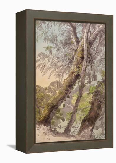 Trees Overhanging Water, 1800-Francis Towne-Framed Premier Image Canvas