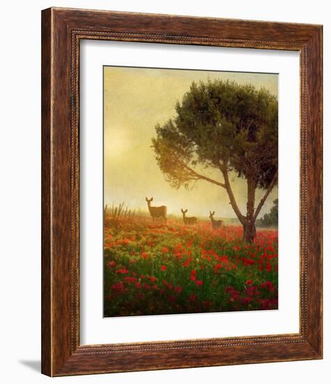 Trees, Poppies and Deer II-Chris Vest-Framed Art Print