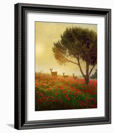 Trees, Poppies and Deer II-Chris Vest-Framed Art Print