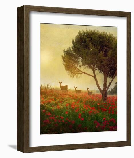 Trees, Poppies and Deer II-Chris Vest-Framed Art Print