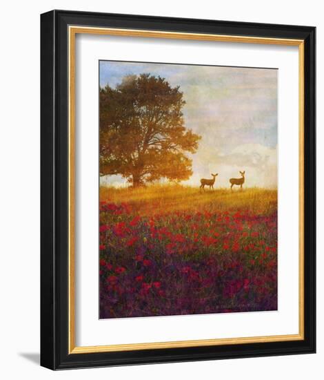 Trees, Poppies and Deer IV-Chris Vest-Framed Art Print