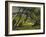 Trees, Provence, 1912-Derwent Lees-Framed Giclee Print