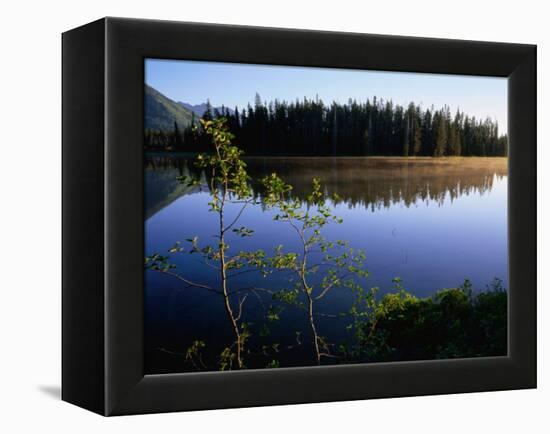 Trees Reflected in Lake Grand Teton National Park, Wyoming, USA-Rob Blakers-Framed Premier Image Canvas