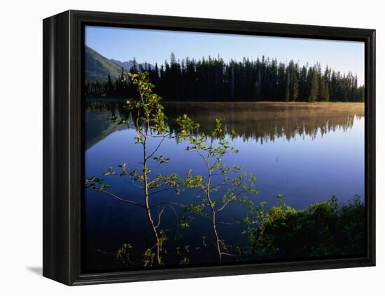 Trees Reflected in Lake Grand Teton National Park, Wyoming, USA-Rob Blakers-Framed Premier Image Canvas