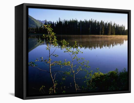 Trees Reflected in Lake Grand Teton National Park, Wyoming, USA-Rob Blakers-Framed Premier Image Canvas