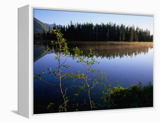 Trees Reflected in Lake Grand Teton National Park, Wyoming, USA-Rob Blakers-Framed Premier Image Canvas