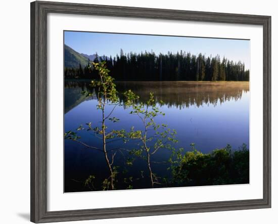 Trees Reflected in Lake Grand Teton National Park, Wyoming, USA-Rob Blakers-Framed Photographic Print