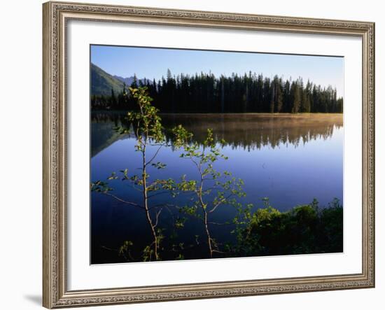Trees Reflected in Lake Grand Teton National Park, Wyoming, USA-Rob Blakers-Framed Photographic Print