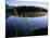 Trees Reflected in Lake Grand Teton National Park, Wyoming, USA-Rob Blakers-Mounted Photographic Print