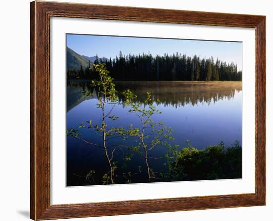 Trees Reflected in Lake Grand Teton National Park, Wyoming, USA-Rob Blakers-Framed Photographic Print