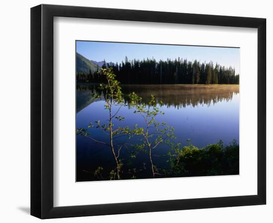 Trees Reflected in Lake Grand Teton National Park, Wyoming, USA-Rob Blakers-Framed Photographic Print