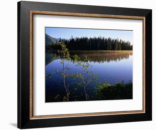 Trees Reflected in Lake Grand Teton National Park, Wyoming, USA-Rob Blakers-Framed Photographic Print