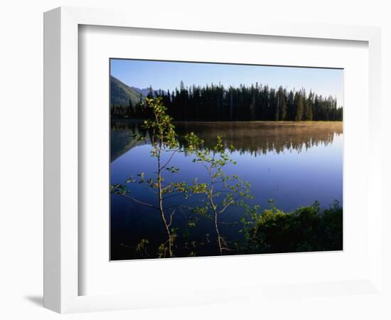 Trees Reflected in Lake Grand Teton National Park, Wyoming, USA-Rob Blakers-Framed Photographic Print