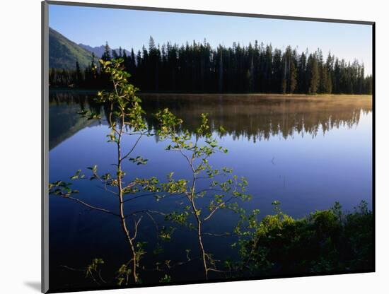 Trees Reflected in Lake Grand Teton National Park, Wyoming, USA-Rob Blakers-Mounted Photographic Print