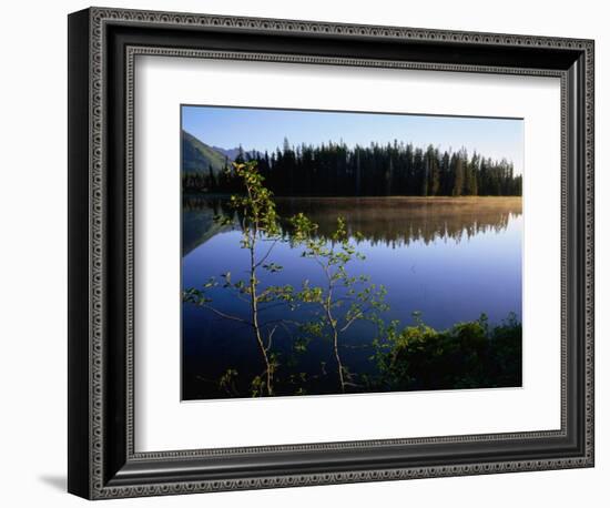 Trees Reflected in Lake Grand Teton National Park, Wyoming, USA-Rob Blakers-Framed Photographic Print