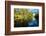 Trees reflected in the Noosa River, Cooloola National Park, Queensland, Australia-Mark A Johnson-Framed Photographic Print